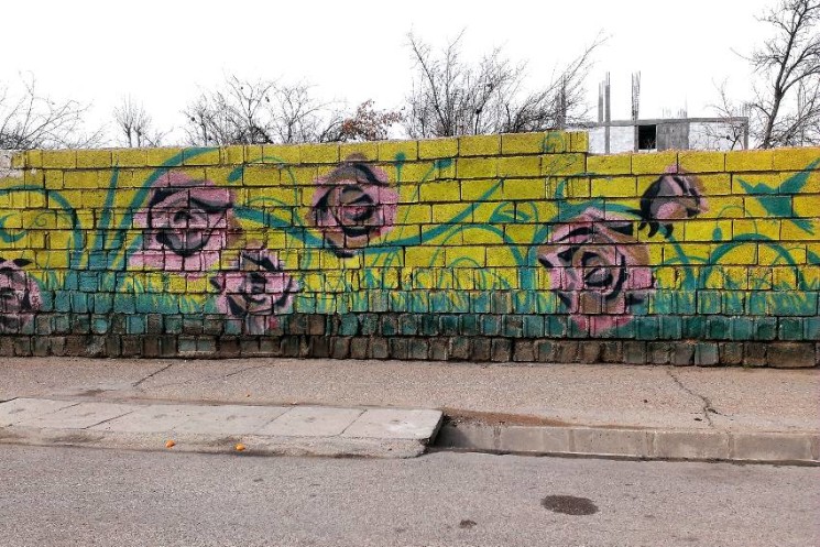 Street Art in Shiraz Tour